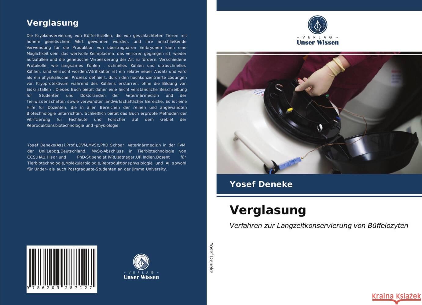 Verglasung Deneke, Yosef 9786203287127 Verlag Unser Wissen - książka