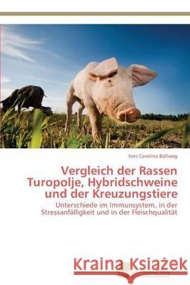 Vergleich der Rassen Turopolje, Hybridschweine und der Kreuzungstiere Ballweg, Ines Carolina 9783838136530 Sudwestdeutscher Verlag Fur Hochschulschrifte - książka