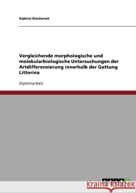 Vergleichende morphologische und molekularbiologische Untersuchungen der Artdifferenzierung innerhalb der Gattung Littorina Gabriel Dischereit 9783638890618 Grin Verlag - książka