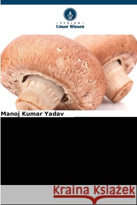 Vergleichende Studien zu St?mmen des Champignons (A. bisporus) Manoj Kumar Yadav 9786138395263 Verlag Unser Wissen - książka