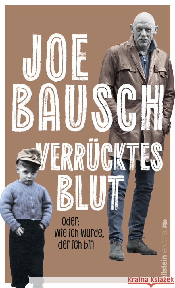Verrücktes Blut Bausch, Joe 9783864932489 Ullstein Paperback - książka
