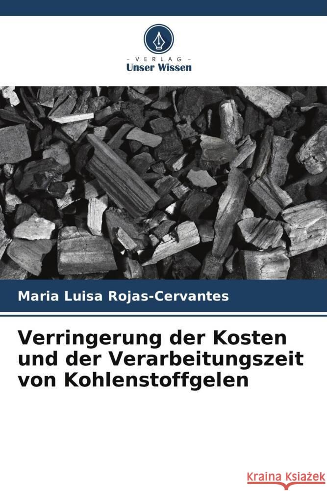 Verringerung der Kosten und der Verarbeitungszeit von Kohlenstoffgelen Rojas-Cervantes, Maria Luisa 9786202599559 Verlag Unser Wissen - książka