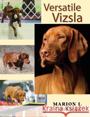 Versatile Vizsla Marion I. Coffman 9781617812613 Dogwise Publishing - książka