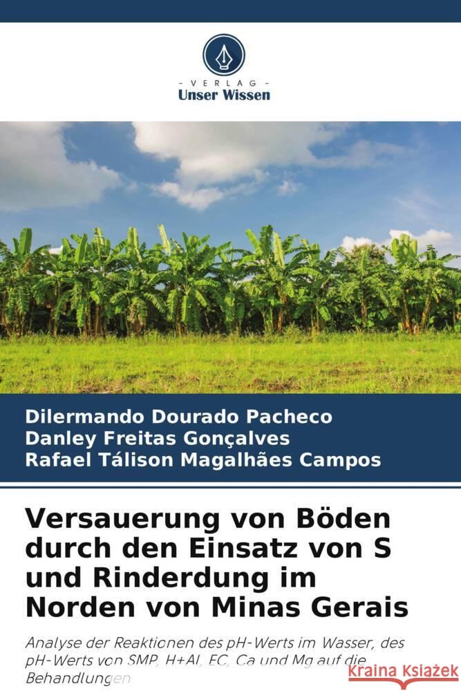 Versauerung von Böden durch den Einsatz von S und Rinderdung im Norden von Minas Gerais Dourado Pacheco, Dilermando, Freitas Gonçalves, Danley, Tálison Magalhães Campos, Rafael 9786208181949 Verlag Unser Wissen - książka