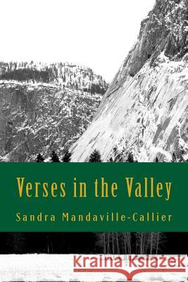 Verses in the Valley: Poems and Prayers for Pursuing Your Purpose Sandra Mandaville-Callier 9781977885647 Createspace Independent Publishing Platform - książka