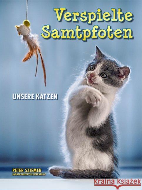 Verspielte Samtpfoten : unsere Katzen Sziemer, Peter; Benedetter-Herramhof, Andrea 9783903147089 Herramhof Verlag - książka