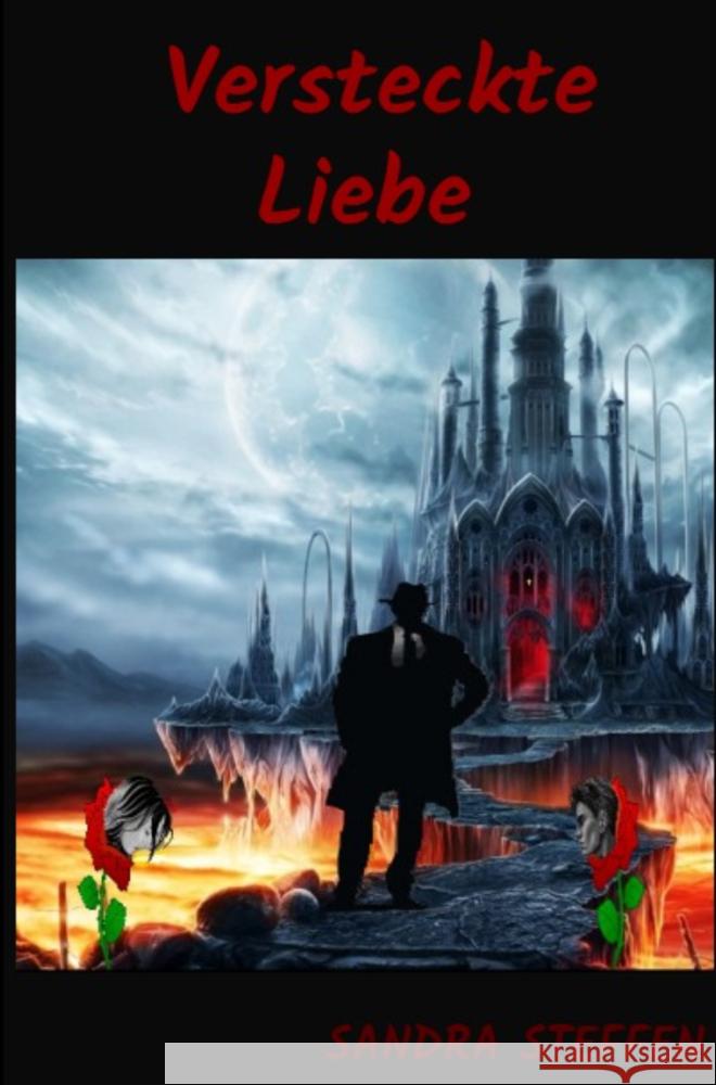 Versteckte Liebe Sandra Steffen  Kreimeyer 9789403791869 Bookmundo - książka