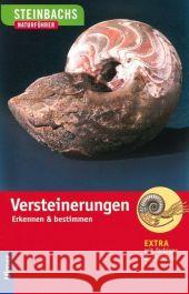 Versteinerungen : Erkennen & bestimmen Lichter, Gerhard Dauenhauer, Andreas Wendler, Fritz 9783800142989 Ulmer (Eugen) - książka