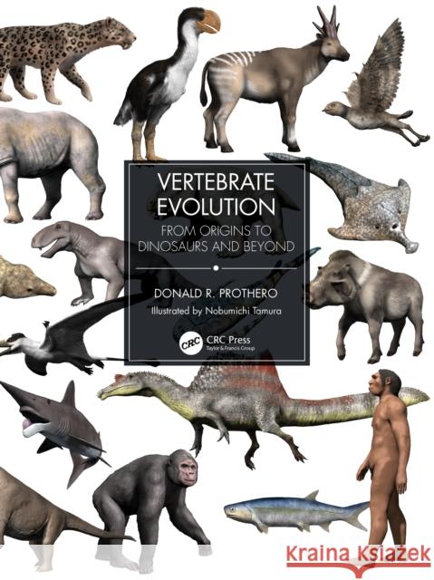 Vertebrate Evolution: From Origins to Dinosaurs and Beyond Donald Prothero 9780367473167 CRC Press - książka