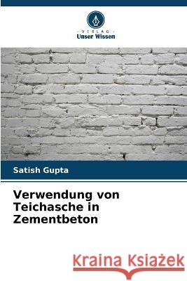 Verwendung von Teichasche in Zementbeton Satish Gupta 9786205701126 Verlag Unser Wissen - książka