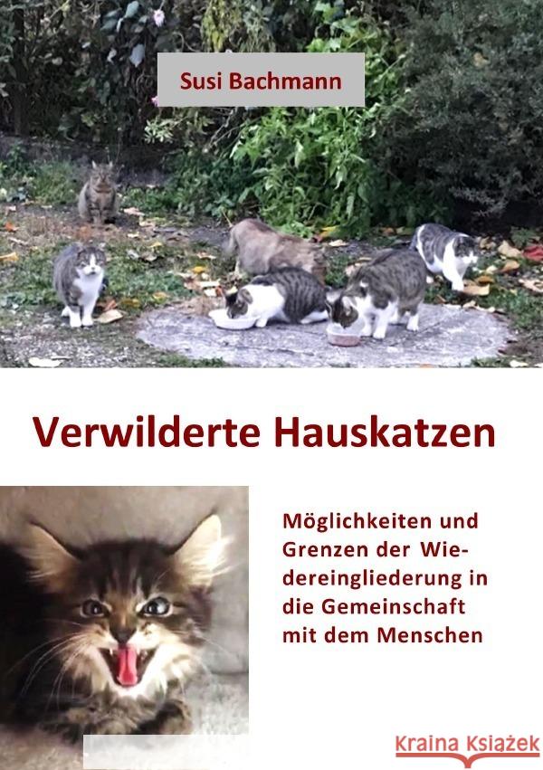 Verwilderte Hauskatzen Bachmann, Susi 9783757512910 epubli - książka