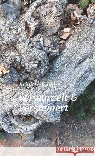 verwurzelt & versteinert Knapp, Brigitte 9783903539433 edition laurin - książka