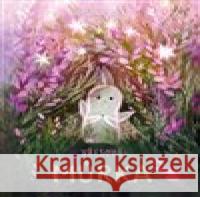 Vřesová můrka Oksana Bula 9788027517466 Host - książka