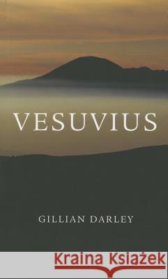 Vesuvius Gillian Darley 9780674503779 Harvard University Press - książka