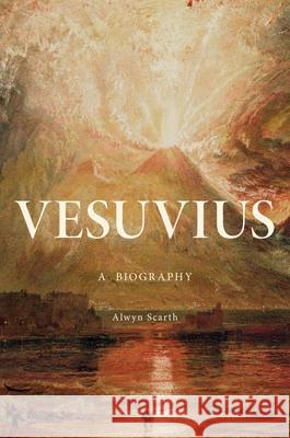 Vesuvius: A Biography  9780691143903 Princeton University Press - książka
