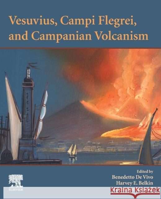 Vesuvius, Campi Flegrei, and Campanian Volcanism de Vivo, Benedetto 9780128164549 Elsevier - książka