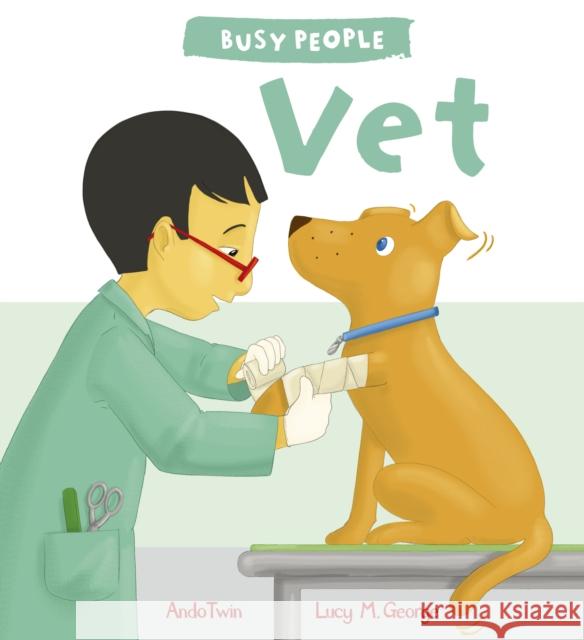 Vet Lucy M George 9781784931537 Quarto Publishing PLC - książka