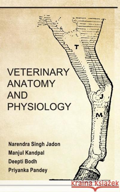 Veterinary Anatomy And Physiology Narendra Singh Jadon 9789386546531 New India Publishing Agency- Nipa - książka