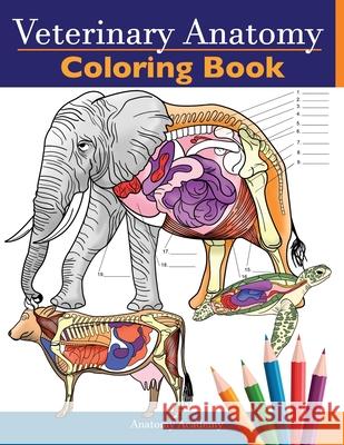 Veterinary Anatomy Coloring Book: Animals Physiology Self-Quiz Color Workbook for Studying and Relaxation Perfect gift For Vet Students and even Adults Anatomy Academy 9781838188603 Muze Publishing - książka