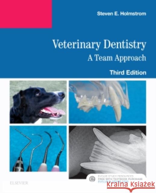 Veterinary Dentistry: A Team Approach Steven E. Holmstrom 9780323485272 Elsevier - Health Sciences Division - książka