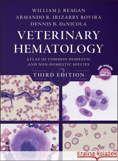 Veterinary Hematology: Atlas of Common Domestic and Non-Domestic Species Dennis B. (Chief Veterinary Educator, IDEXX Laboratories, North Grafton, Massachusetts, USA) DeNicola 9781119064817 John Wiley and Sons Ltd - książka