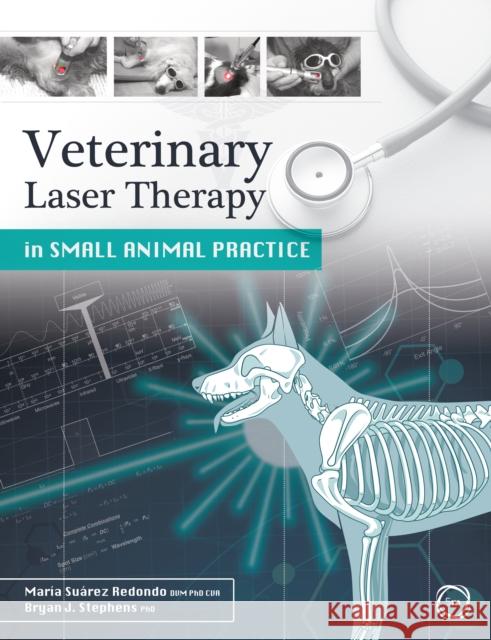 Veterinary Laser Therapy in Small Animal Practice Maria Suarez Redondo Bryan Stephens  9781789180053 5M Books Ltd - książka