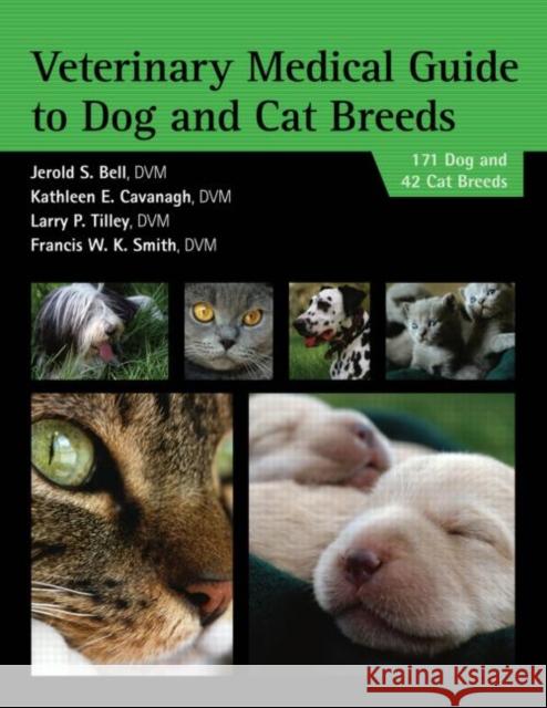 Veterinary Medical Guide to Dog and Cat Breeds Tilley 9781591610021 Teton New Media - książka