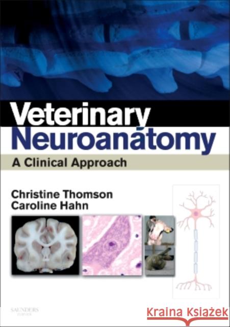 Veterinary Neuroanatomy: A Clinical Approach Caroline (Senior Lecturer in Clinical Neurosciences, Royal (Dick) School of Veterinary Studies, University of Edinburgh, 9780702034824  - książka