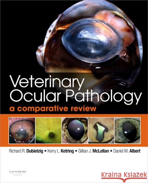 Veterinary Ocular Pathology: A Comparative Review Dubielzig, Richard R. 9780702027970 SAUNDERS - książka