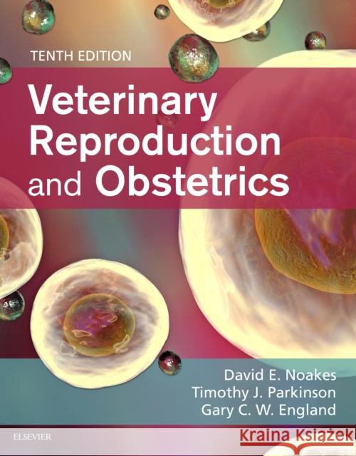 Veterinary Reproduction & Obstetrics Noakes, David E. 9780702072338 Saunders Ltd. - książka