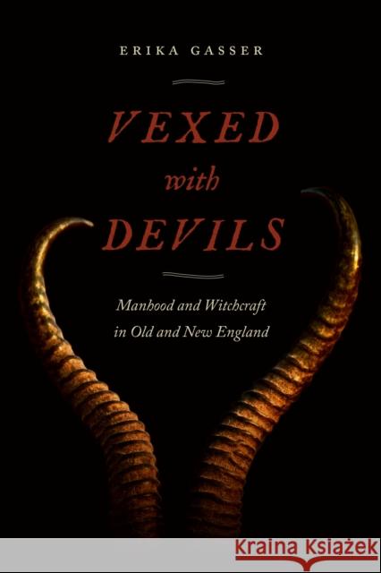 Vexed with Devils: Manhood and Witchcraft in Old and New England  9781479871131 New York University Press - książka