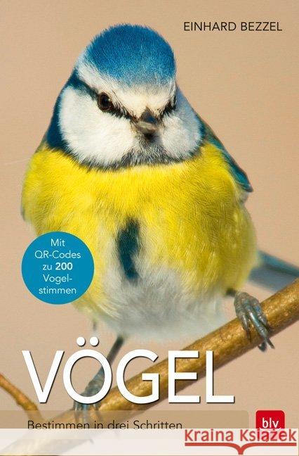 Vögel : Bestimmen in drei Schritten. Mit QR-Codes zu 200 Vogelstimmen Bezzel, Einhard 9783835415836 BLV Buchverlag - książka