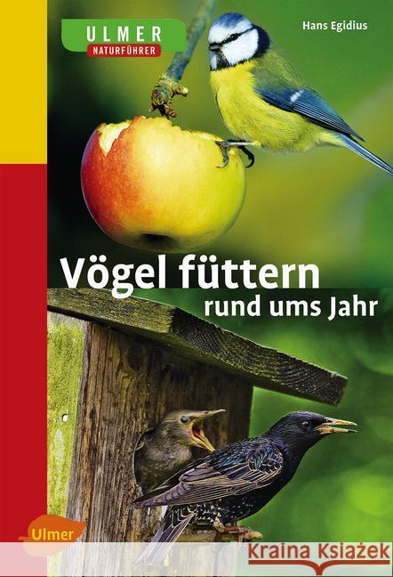 Vögel füttern rund ums Jahr Egidius, Hans 9783800175871 Ulmer (Eugen) - książka