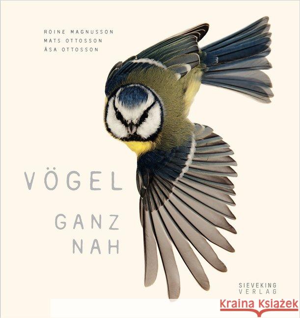 Vögel ganz nah Ottosson, Asa; Ottosson, Mats 9783944874852 Sieveking Verlag - książka