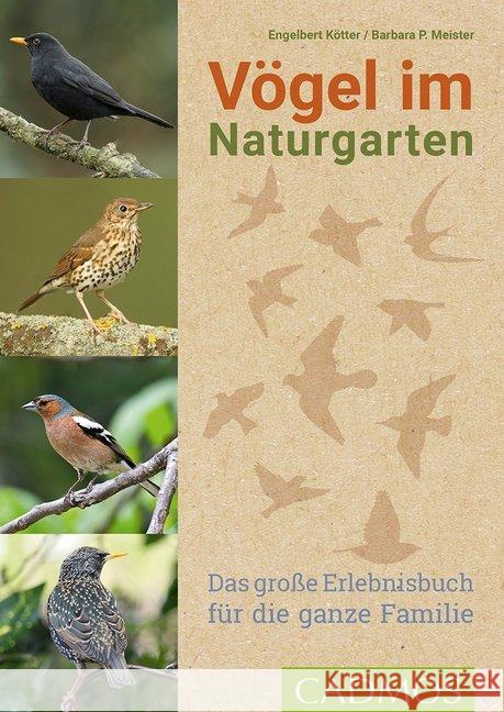 Vögel im Naturgarten : Das große Erlebnisbuch für die ganze Familie Kötter, Engelbert; Meister, Barbara P. 9783840430534 Cadmos - książka