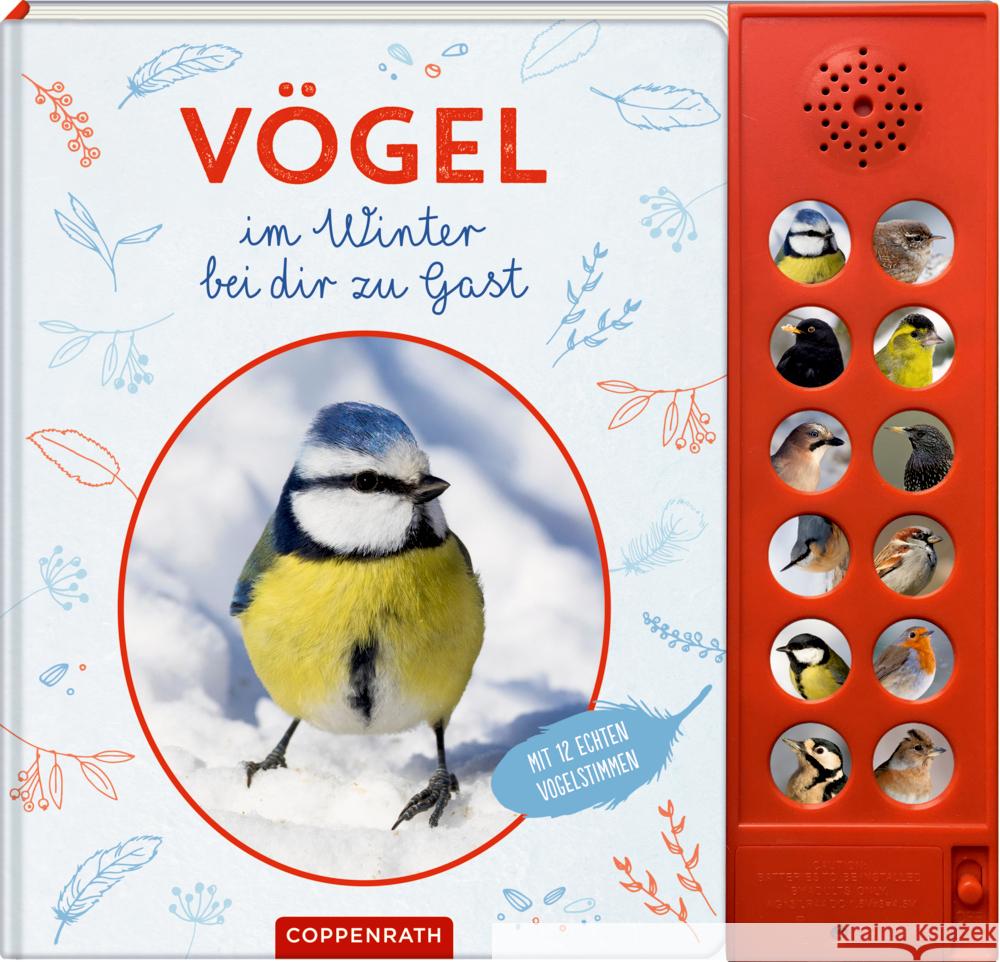 Vögel im Winter bei dir zu Gast Oftring, Bärbel 9783649637233 Coppenrath, Münster - książka