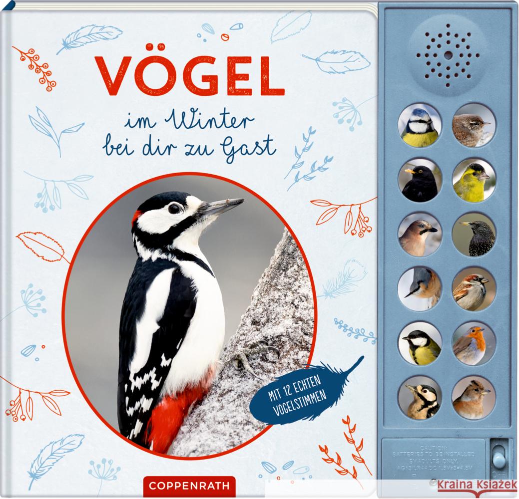 Vögel im Winter bei dir zu Gast Oftring, Bärbel 9783649650683 Coppenrath, Münster - książka