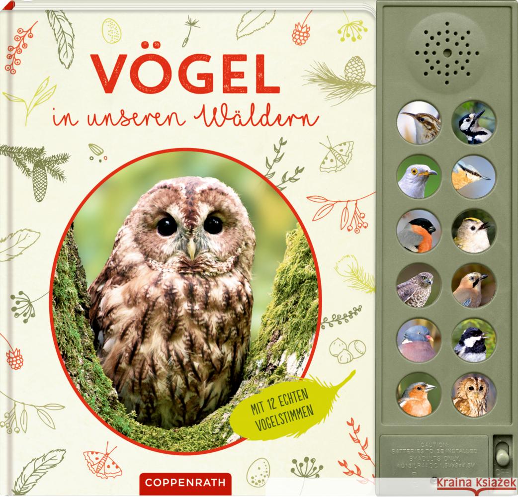 Vögel in unseren Wäldern Haag, Holger 9783649647294 Coppenrath, Münster - książka