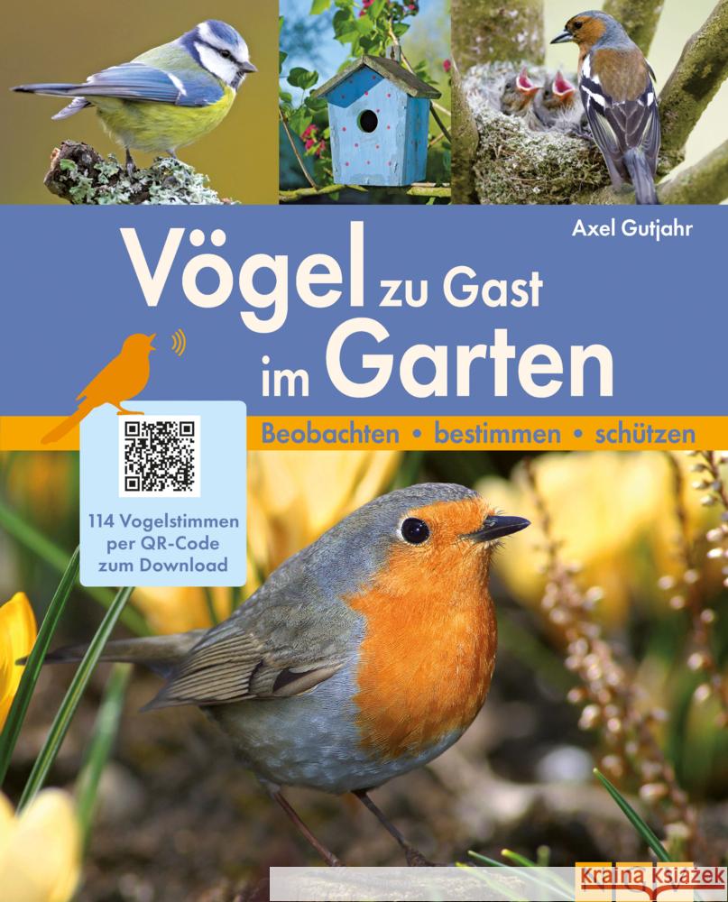 Vögel zu Gast im Garten Gutjahr, Axel 9783625192411 Naumann & Göbel - książka