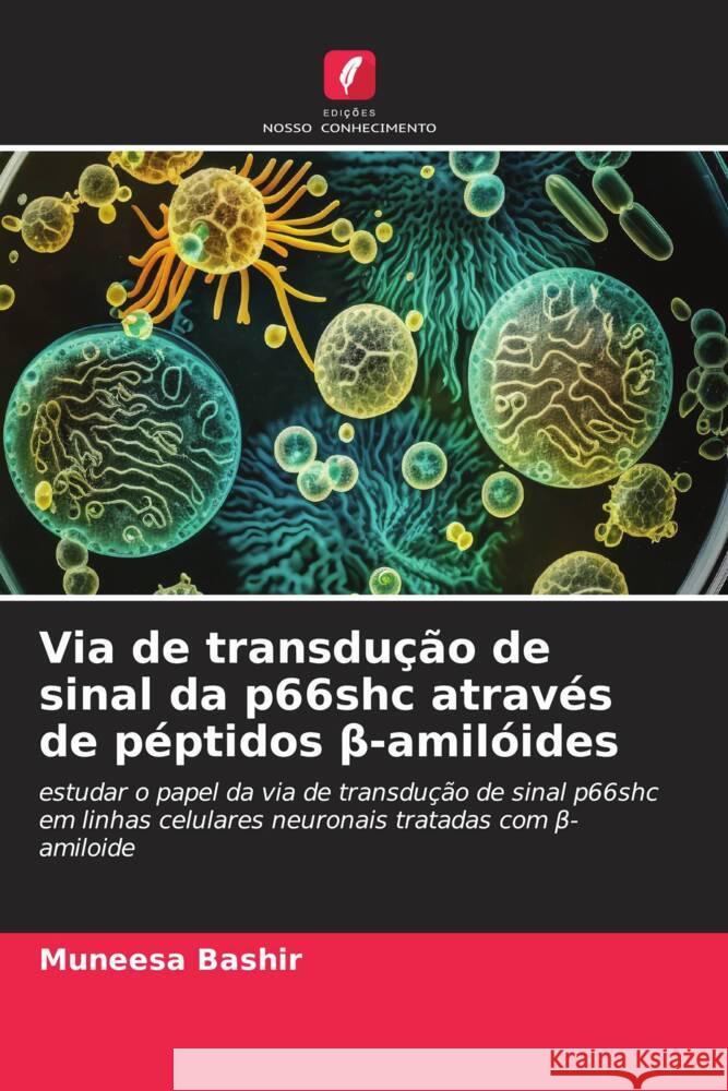 Via de transdução de sinal da p66shc através de péptidos beta-amilóides Bashir, Muneesa 9786206388661 Edições Nosso Conhecimento - książka