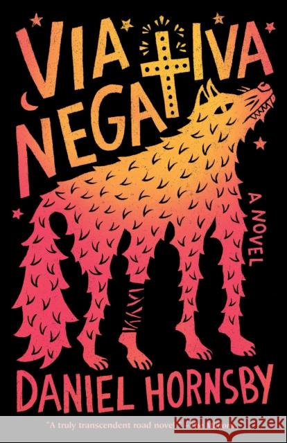 Via Negativa Daniel Hornsby 9780593081006 Vintage - książka