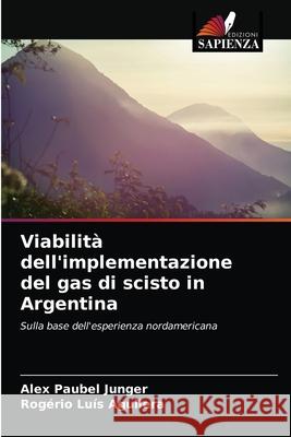 Viabilità dell'implementazione del gas di scisto in Argentina Junger, Alex Paubel 9786203514650 Edizioni Sapienza - książka