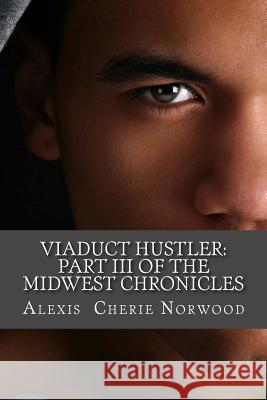 Viaduct Hustler: Part III of the Midwest Chronicles Alexis Cherie Norwood 9781505351156 Createspace - książka