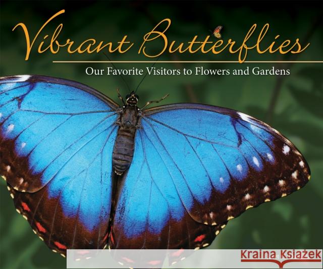 Vibrant Butterflies: Our Favorite Visitors to Flowers and Gardens Jaret C. Daniels 9781591937890 Adventure Publications - książka