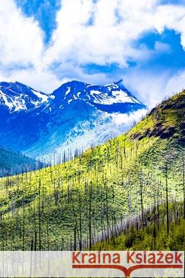 Vibrant Landscape Gold Standard Books 9781686019074 Independently Published - książka