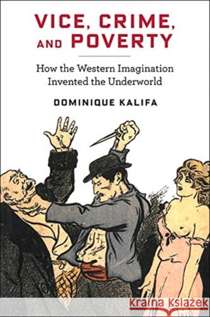 Vice, Crime, and Poverty: How the Western Imagination Invented the Underworld Dominique Kalifa Susan Emanuel Sarah Maza 9780231187435 Columbia University Press - książka