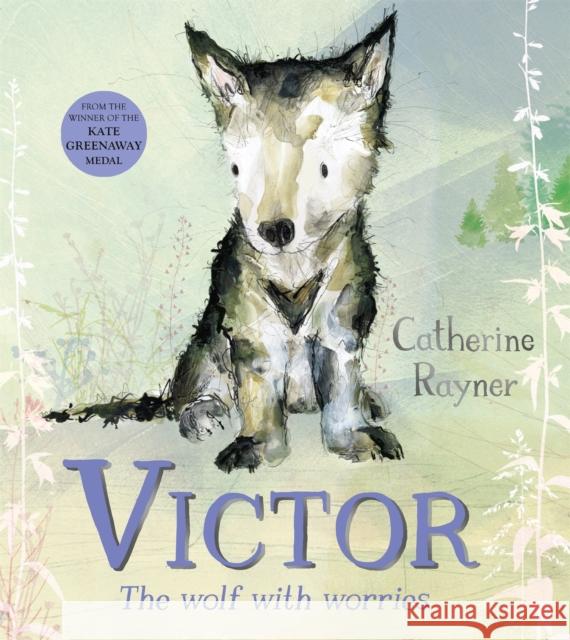 Victor, the Wolf with Worries Catherine Rayner 9781529051285 Pan Macmillan - książka