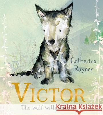 Victor, the Wolf with Worries Catherine Rayner 9781915801838 Boxer Books - książka