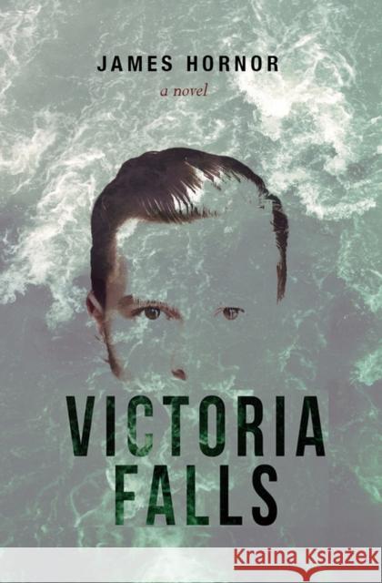 Victoria Falls James Hornor 9780999076699 Green Writers Press - książka