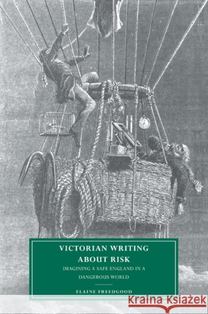 Victorian Writing about Risk: Imagining a Safe England in a Dangerous World Freedgood, Elaine 9780521028721 Cambridge University Press - książka